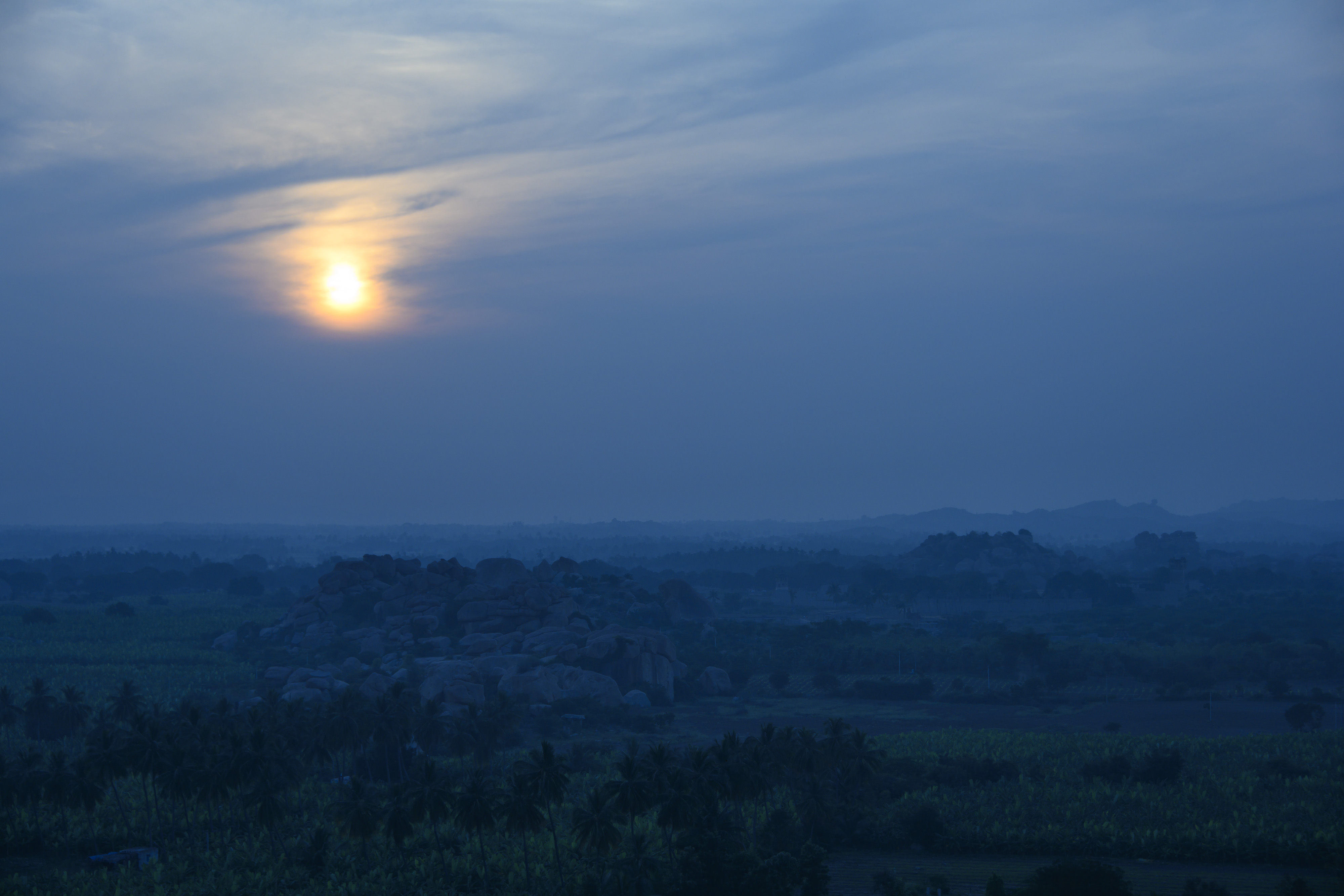 BLUE HAMPI