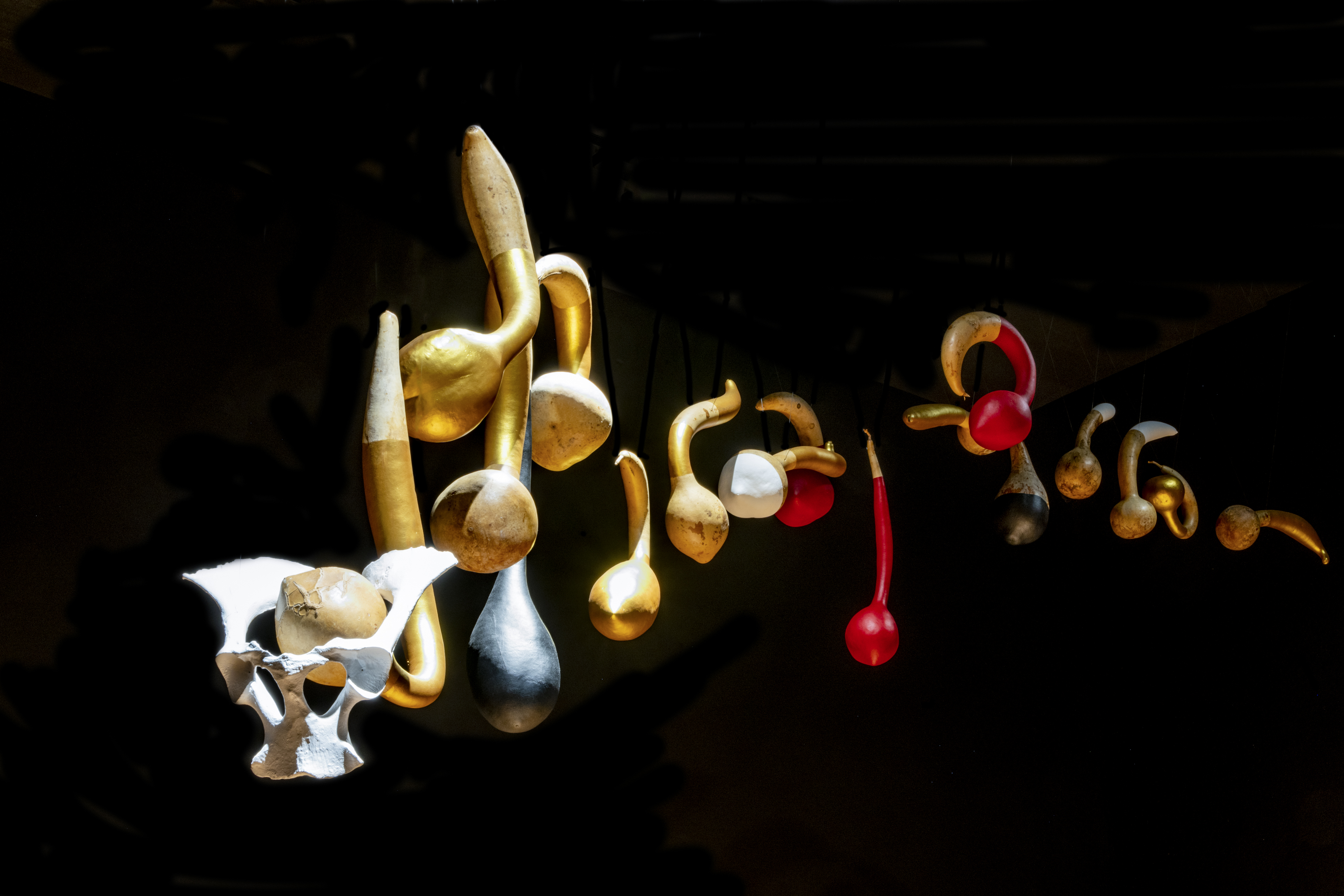  Gunas, 2022
Escultura. Pelvis y guajes pintados/ Sculpture. Pelvis and painted dried squashes.
4.50 x .5 m. Aprox.
